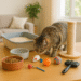 10 Daily Essentials Every Cat Owner Should Have for a Happy Kitty