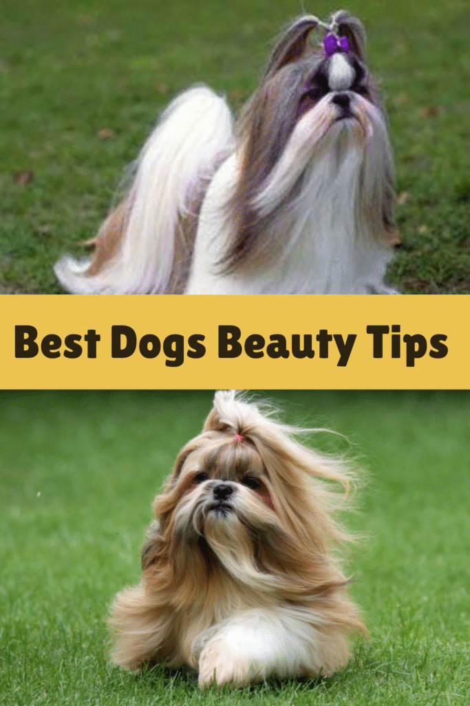 Dog Grooming Does Not Have to Be a Chore
