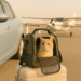 How to Travel With Your Cat Safely Everything You Need to Know